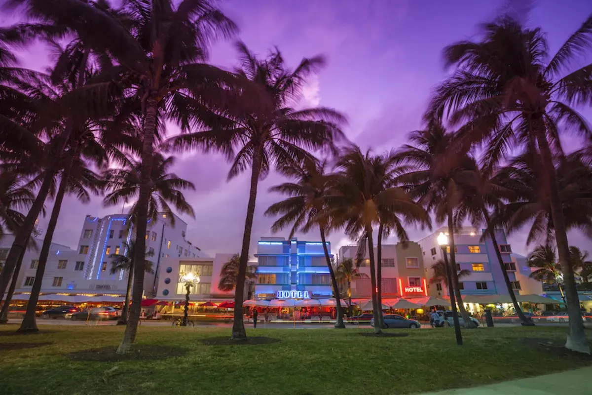 Nighttime view of Miami with iconic palm trees and lit-up buildings, perfect for showcasing general contractor services in Miami.